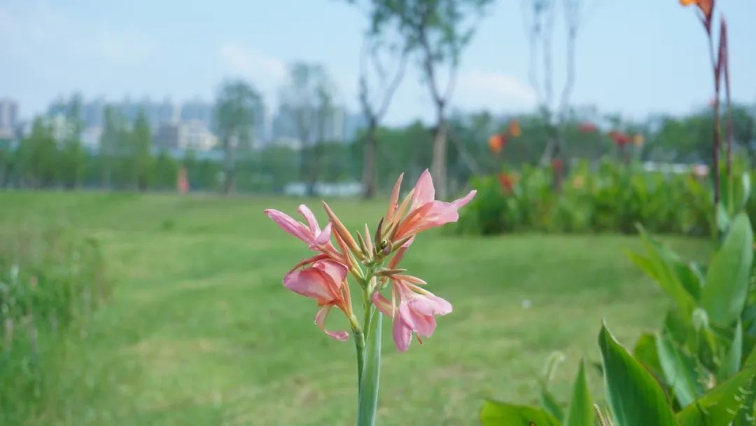 DƬ